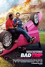 Bad Trip 2020 Hindi Dubbed 480p Mp4Moviez