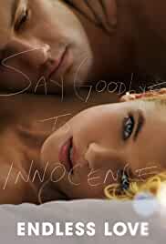 Endless Love 2014 Hindi Dubbed 480p Mp4Moviez