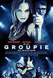 Groupie 2010 Hindi Dubbed 480p Mp4Moviez