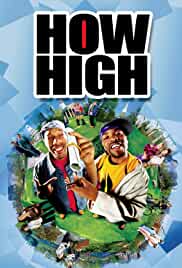 How High 2001 Dual Audio Hindi 480p Mp4Moviez